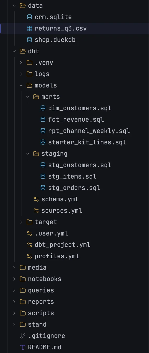 The Files panel with a dbt project expanded and a CSV file selected