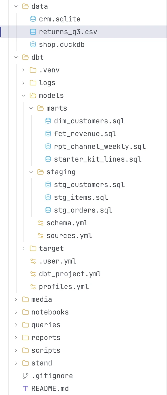 The Files panel with a dbt project expanded and a CSV file selected